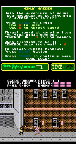 忍者龙剑传 (PlayChoice-10) pc_ngaid.zip