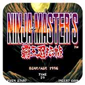 霸王忍法帖简化版apk
