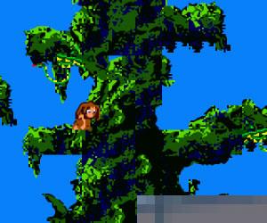 小泰山日版apk