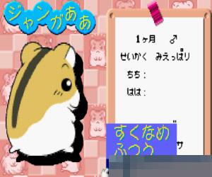 0746-仓鼠物语3日版手机版