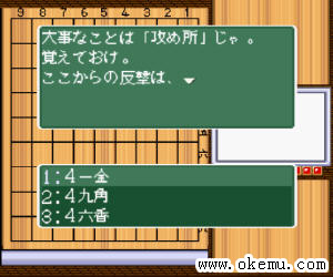将棋之花道日版
