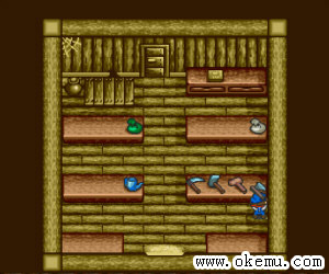 牧场物语美版