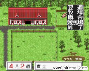 德贝育马3-1.2日版