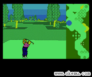 GregNorman'sGolfPower