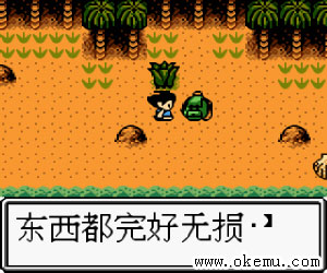 孤岛冒险者简体中文