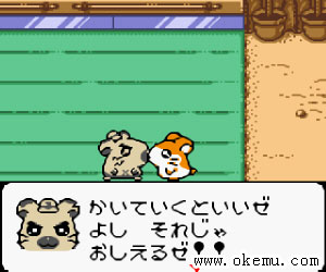 哈姆哈姆太郎2日版