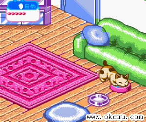 小猫饲养日版