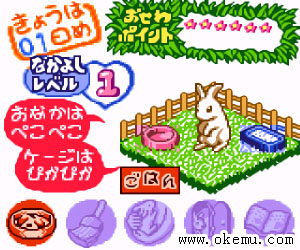 宠物饲养-小兔兔日版
