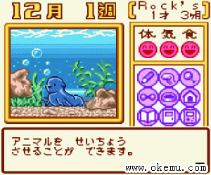 动物饲养日版