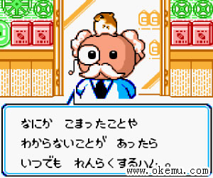 黄金鼠乐园日版