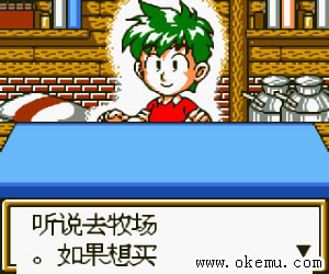 牧场物语二代繁体中文