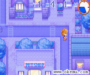 宠物兽医美版