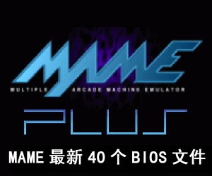 MAME最新40个BIOS文件打包