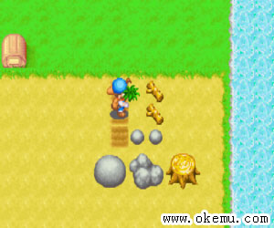 牧场物语男孩版