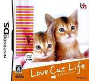 猫猫故事2