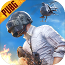 pubg地铁逃生国际服