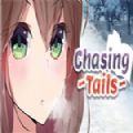 ChasingTailssteam游戏免费破解版
