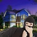 女侠小偷模拟器无限金币破解版