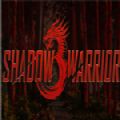 影子武士3游戏汉化版手机版