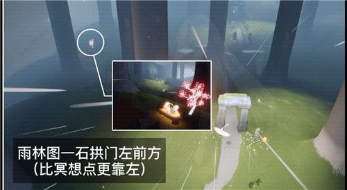 光遇在雨林赏一会花完成攻略 光遇雨林赏花位置