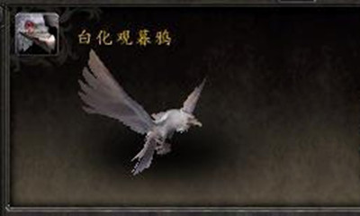 《魔兽世界》宠物白化观暮鸦获取攻略