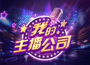 我的主播公司
