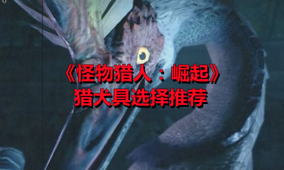《怪物猎人：崛起》猎犬具选择推荐