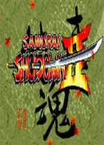 侍魂2简化版