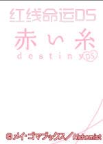 红线命运DS