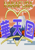 华天国手机版