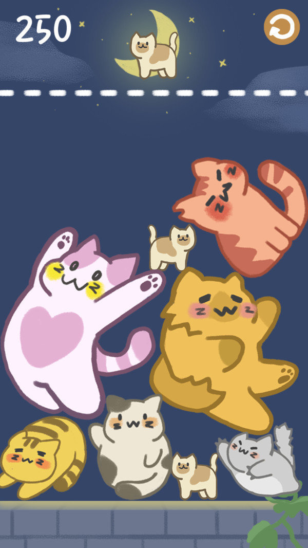 猫咪满屋红包版赚钱版