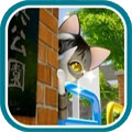 猫咪日常逃脱