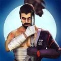 刺客英雄武士破解版