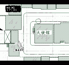虎穴行动