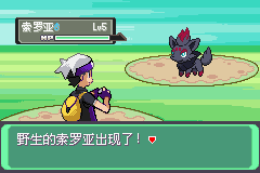 口袋妖怪 漆黑的魅影5.0EX BW
