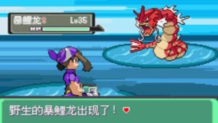 口袋妖怪 漆黑的魅影5.0EX DP