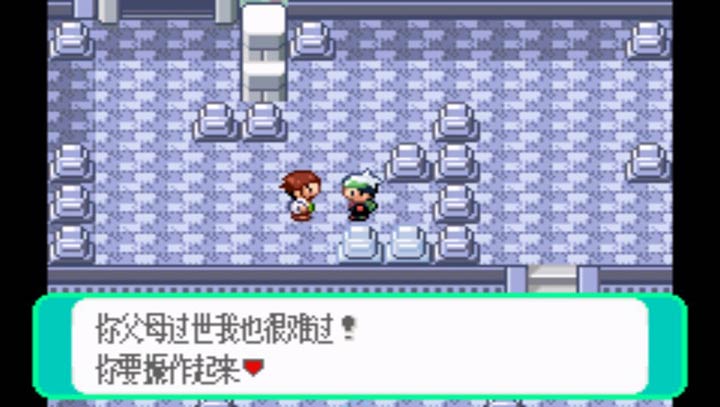 口袋妖怪 噩梦的延续5.8c