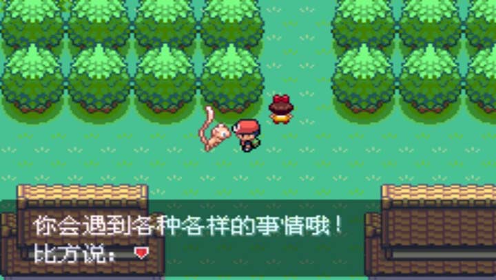 口袋妖怪 最强进化V2.0