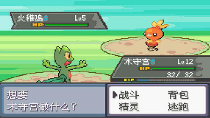 口袋妖怪 极光石2.5A