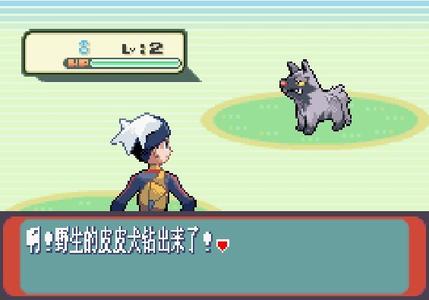 口袋妖怪 红宝石386
