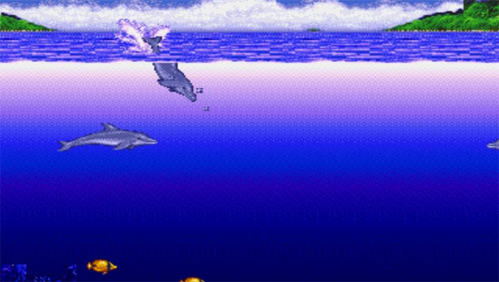 海豚