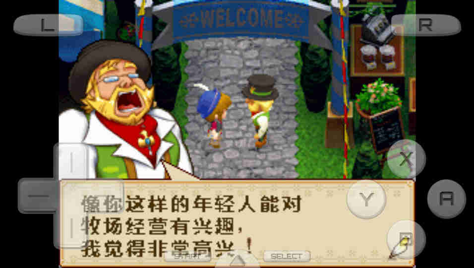 牧场物语 风之集市