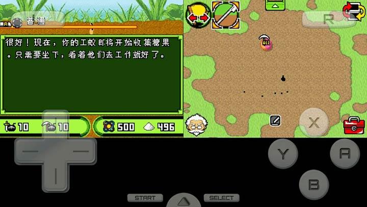 蚂蚁王国DS