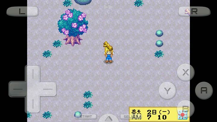 牧场物语 精灵驿站 女孩手机版