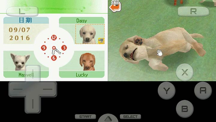 任天狗 腊肠犬和它的朋友们
