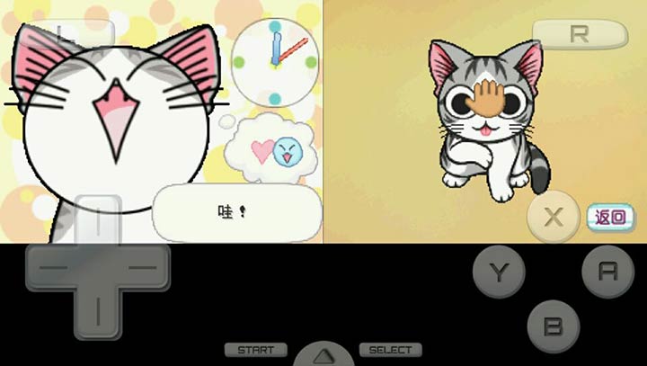 甜甜私房猫 小起到我家