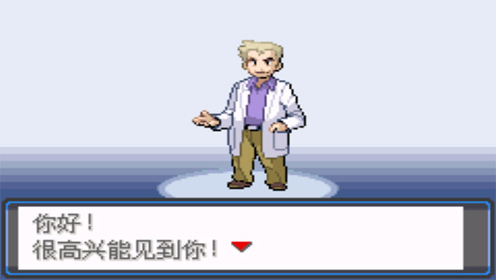 口袋妖怪 宿命的轮回