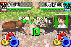 甲虫王者