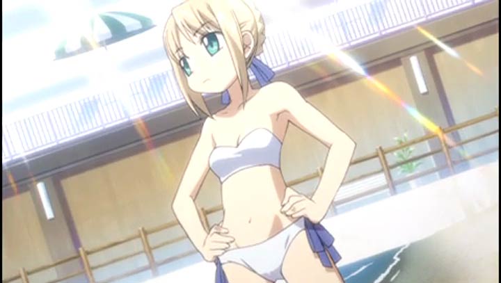 Fate/Tiger大乱斗加强手机版