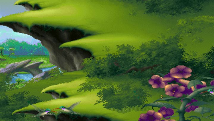 蜂鸟